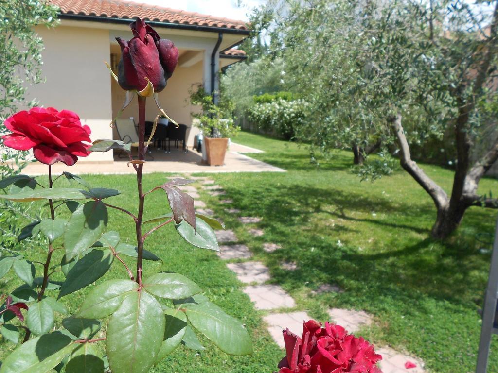 Poggio Degli Olivi Guest House Saturnia Eksteriør bilde