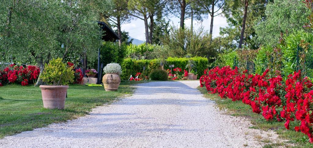 Poggio Degli Olivi Guest House Saturnia Eksteriør bilde